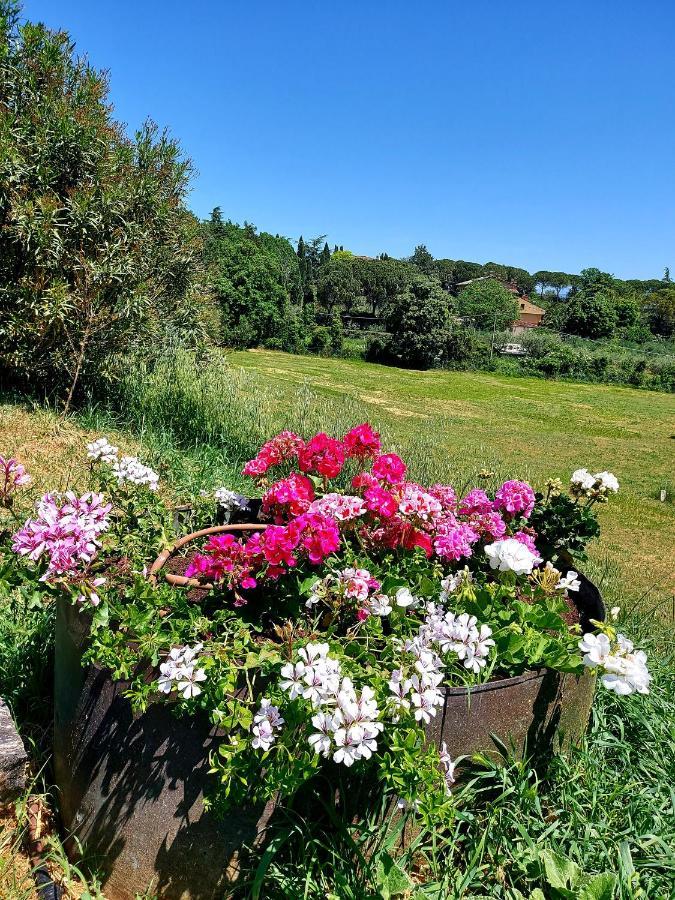 Montebello Park Hotel Perugia Luaran gambar